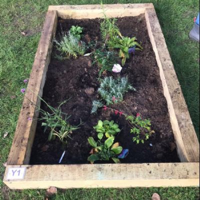 BeeButterflyGarden-Year1Oct2020