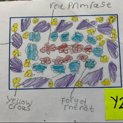 BeeButterflyGarden-Year2Design