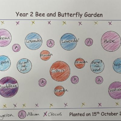 BeeButterflyGarden-Year2PlantingPlan