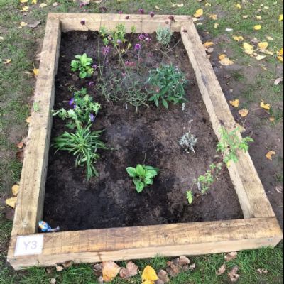 BeeButterflyGarden-Year3October2020