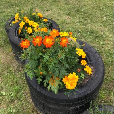 ae3a5875-eb75-4789-aeb7-19d2e2ae5115