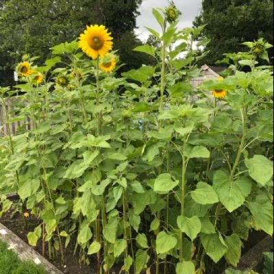 e9269033-9321-4f1d-824f-39e8b1f99451