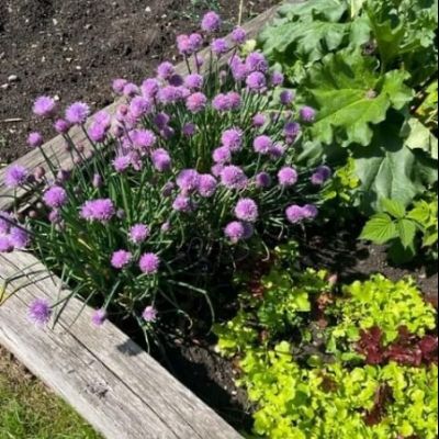 79F22906-02E1-486F-B5B3-B2A2DD72DAB8