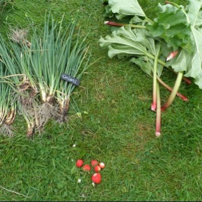 FDBB74DA-421B-4DF0-9E1E-3F3A6D3B9F51