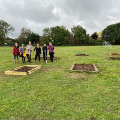 Bee and Butterfly Gardens