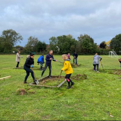 Bee and Butterfly Gardens