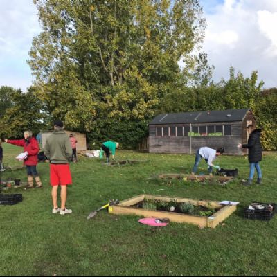 BeeButterflyGardensPlanting2