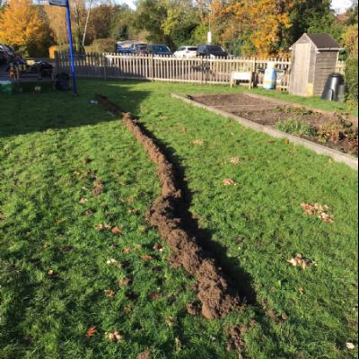 TreeBulbPlantingandSeedScatteringNov20213)