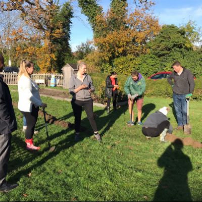 TreeBulbPlantingandSeedScatteringNov20216)